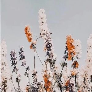 Meet your Posher, Marley